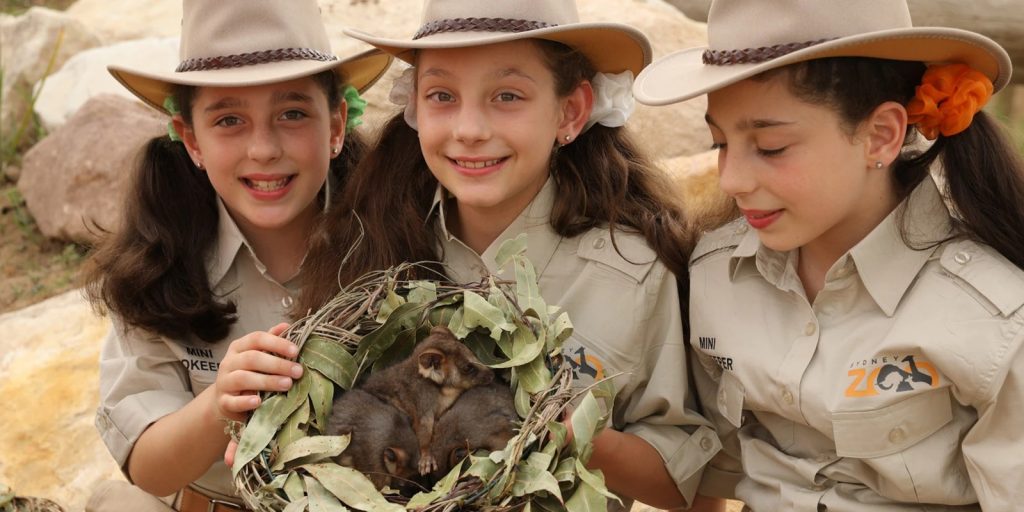 Mini Zoo Keepers