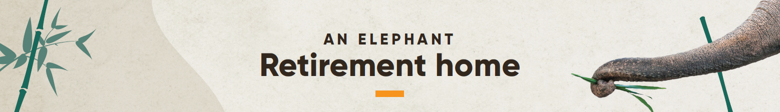 An elephant retirement home