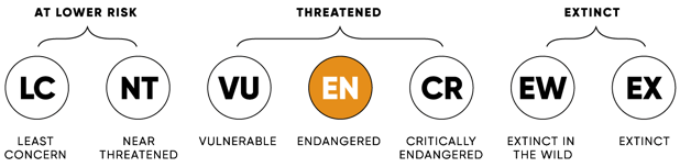 ConservationStatus_EN_2x-1