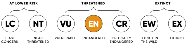 ConservationStatus_EN_2x