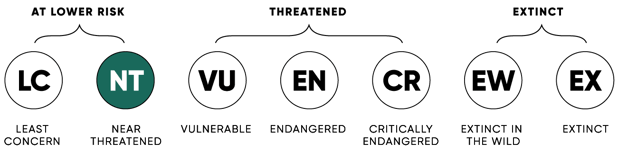 ConservationStatus_NT_2x