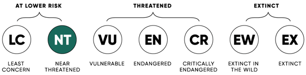 ConservationStatus_NT_2x