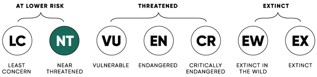 ConservationStatus_NT_2x