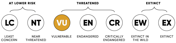 ConservationStatus_VU_2x