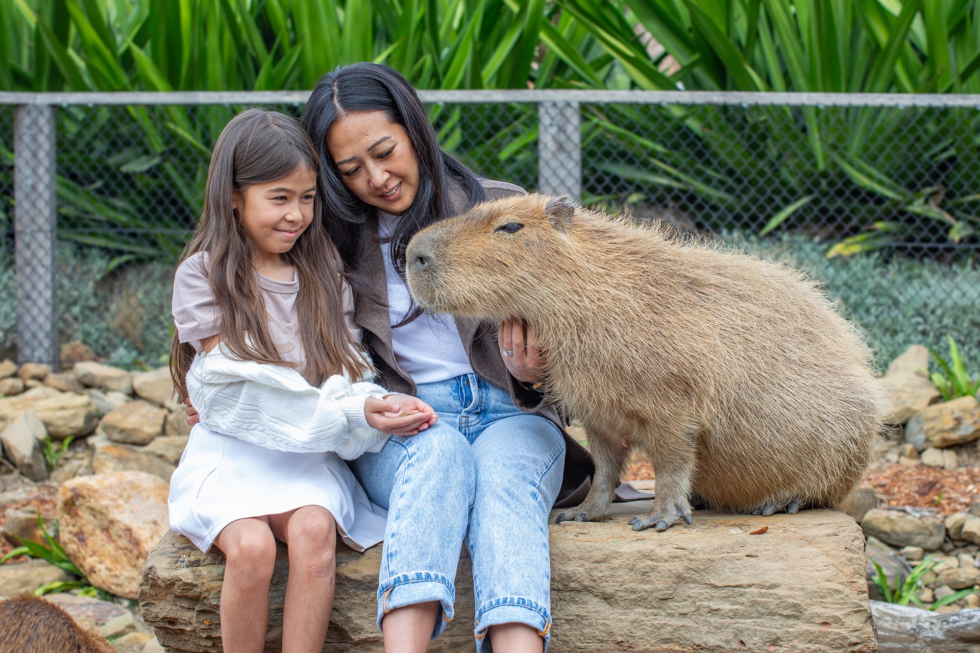 Encounter_Capybara_4N3A6578