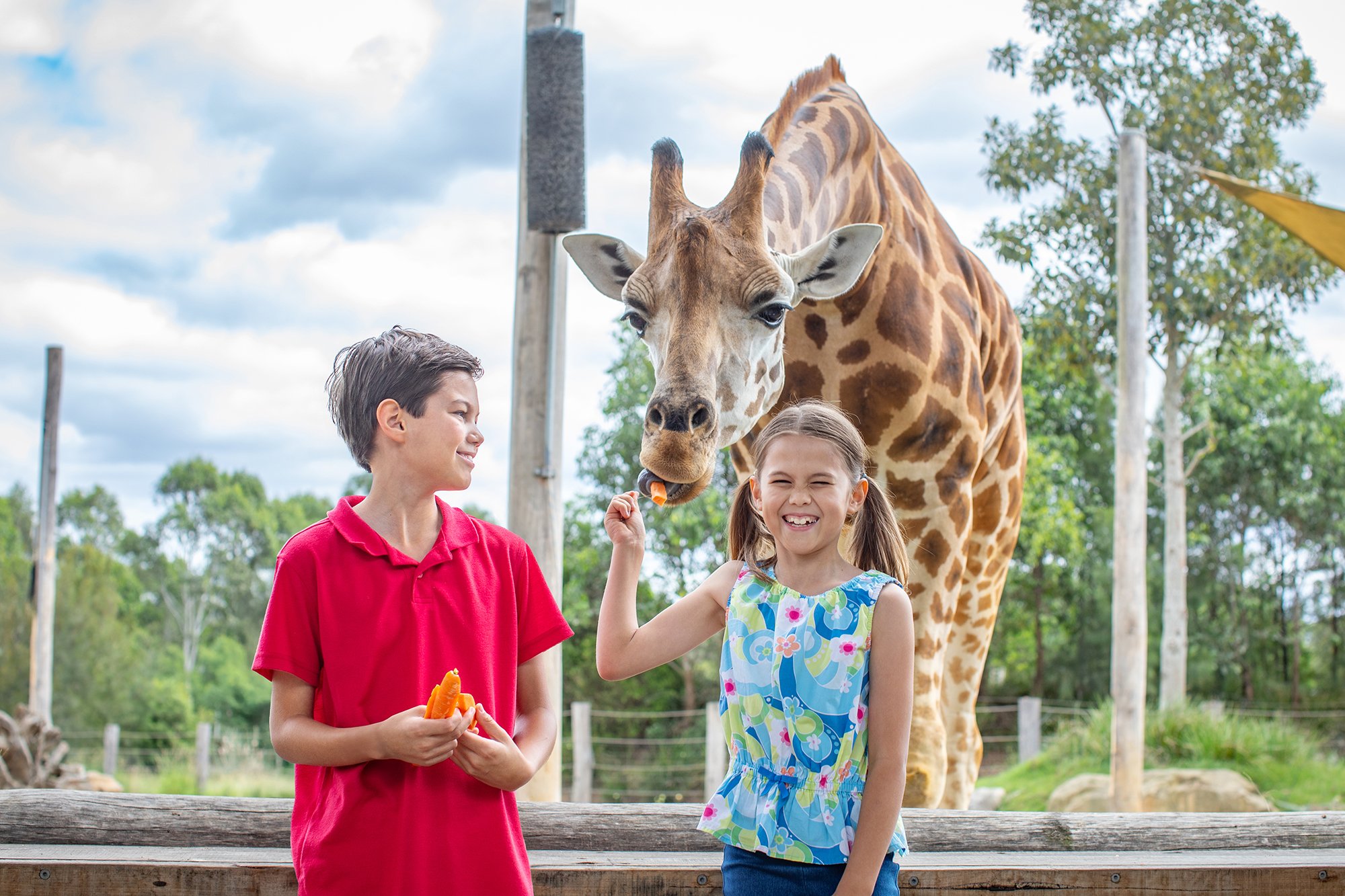 Encounter_Giraffe_4N3A5534_Edited