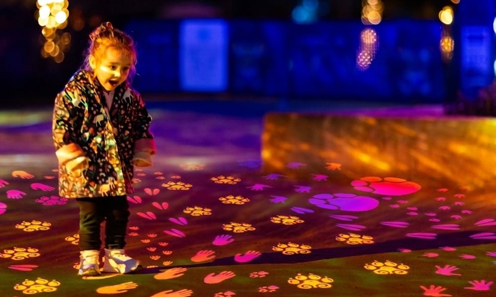 Explore_Thumbnail_Tracks-in-the-Night