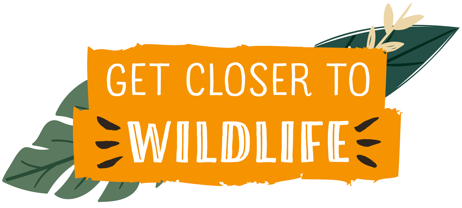 GetCloserToWildlife