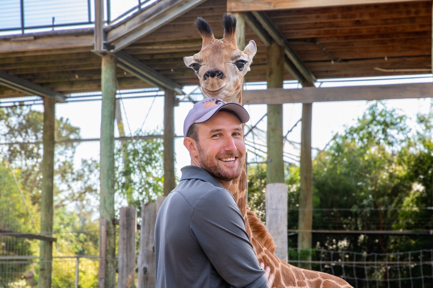 Giraffe Calf at Sydney Zoo in Eastern Creek
