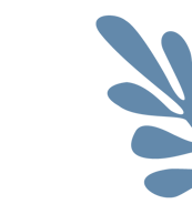 VideoLeftAsset
