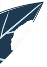 VideoRightAsset