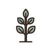 Icon-3