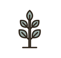 Icon-3