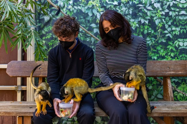 SZ_Encounter_Squirrel Monkey_IMG_0544