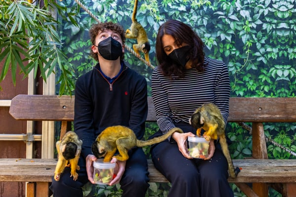 SZ_Encounter_Squirrel Monkey_IMG_0551