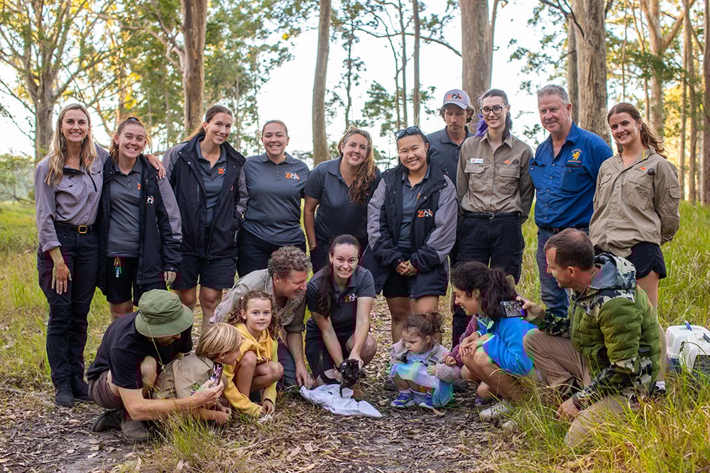 SZ_Quoll Rewilding Release 2_SYDZ6057