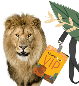 Giraffe_Encounter_Animal