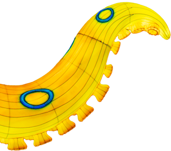 TentacleFlip-1
