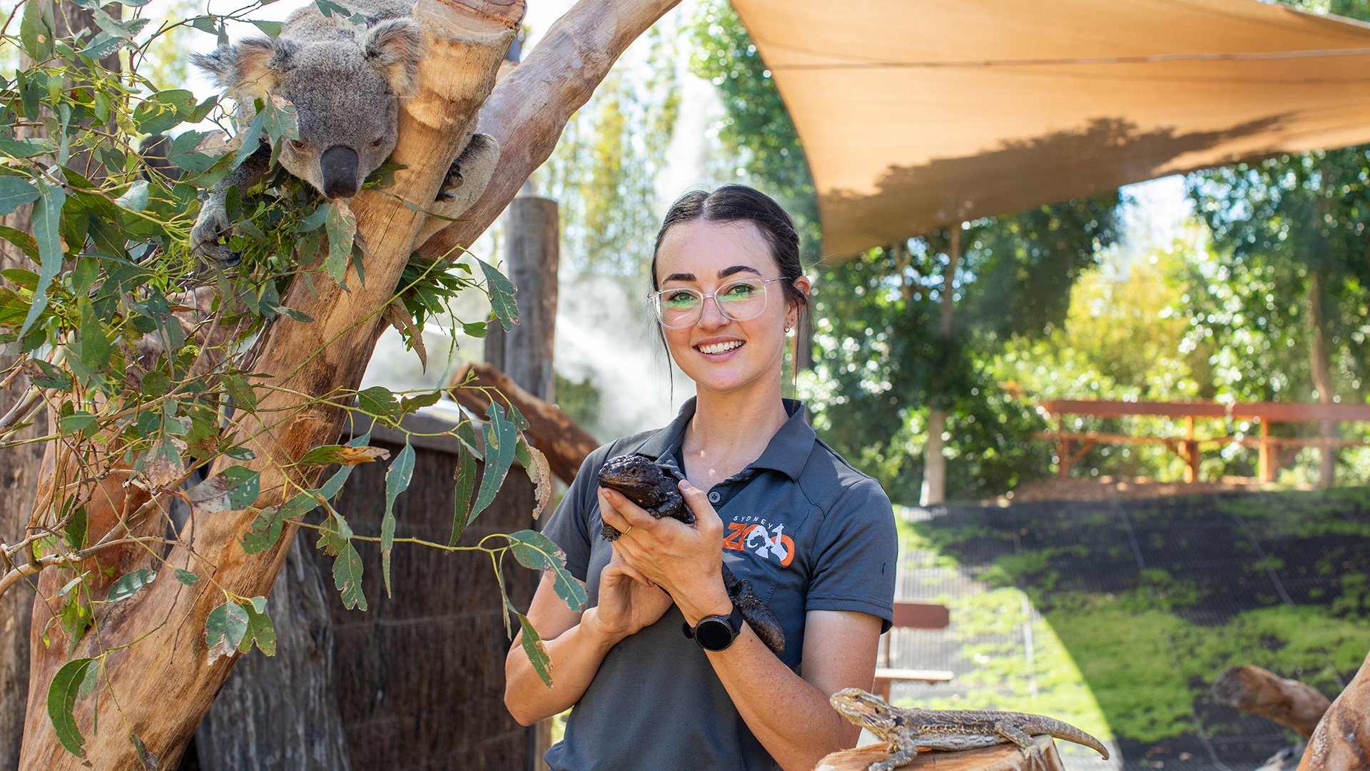 Wild Australia Live Show