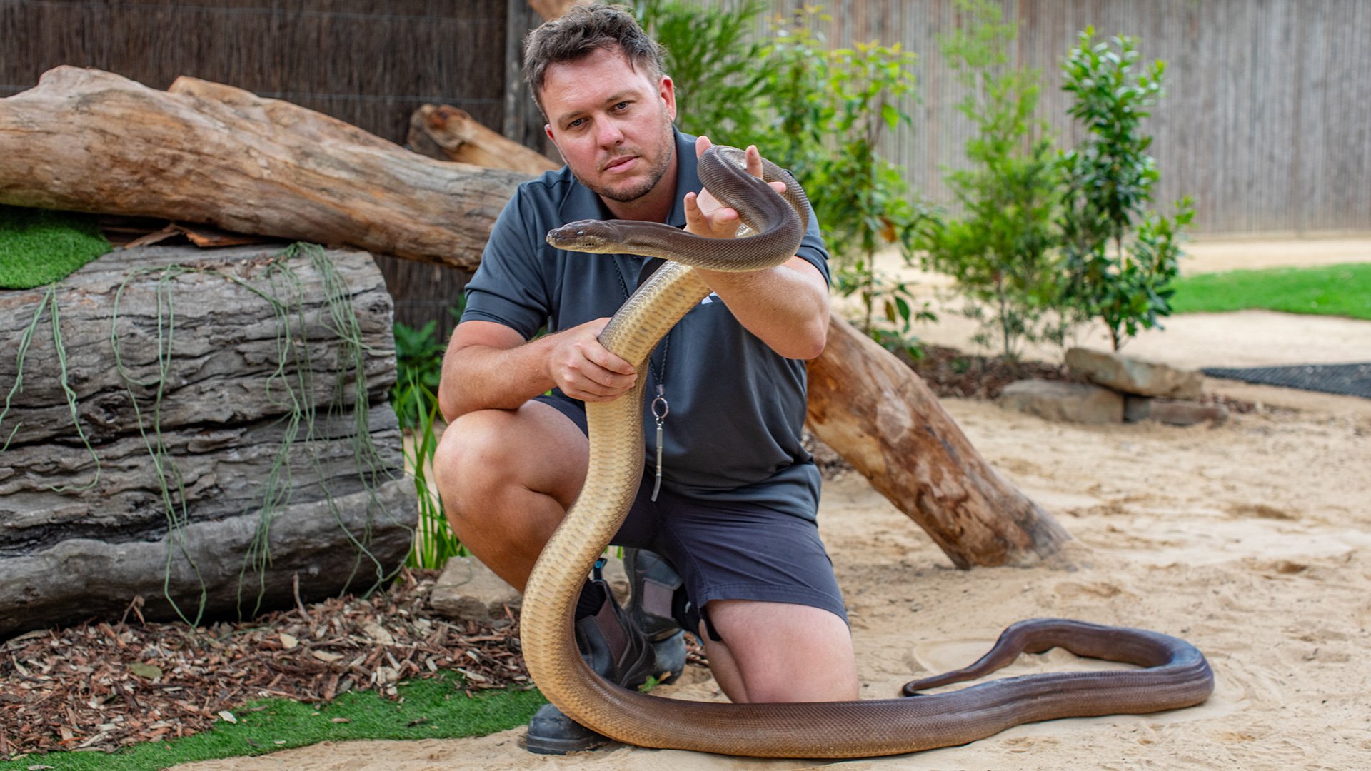 Wild Australia Live Show