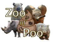 ZoP_logo