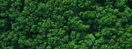 banner 3