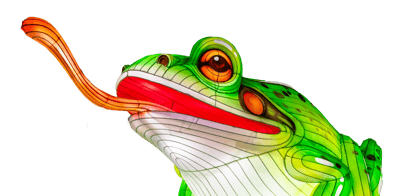 frog