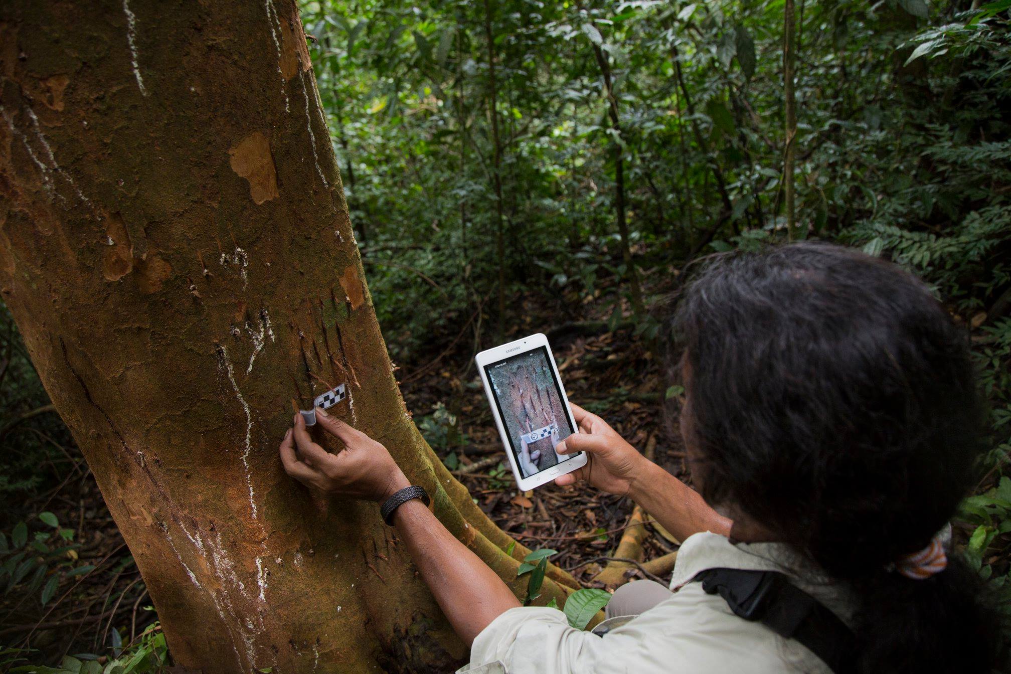 37928899_235866473713062_8512109849020989440_n