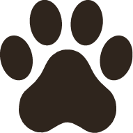 BlackPaw