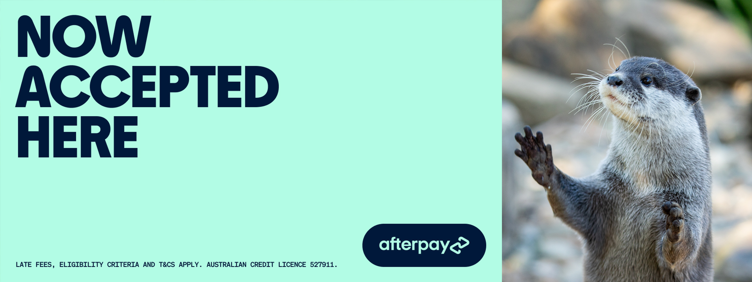 Blog-Afterpay-Header-Desktop2