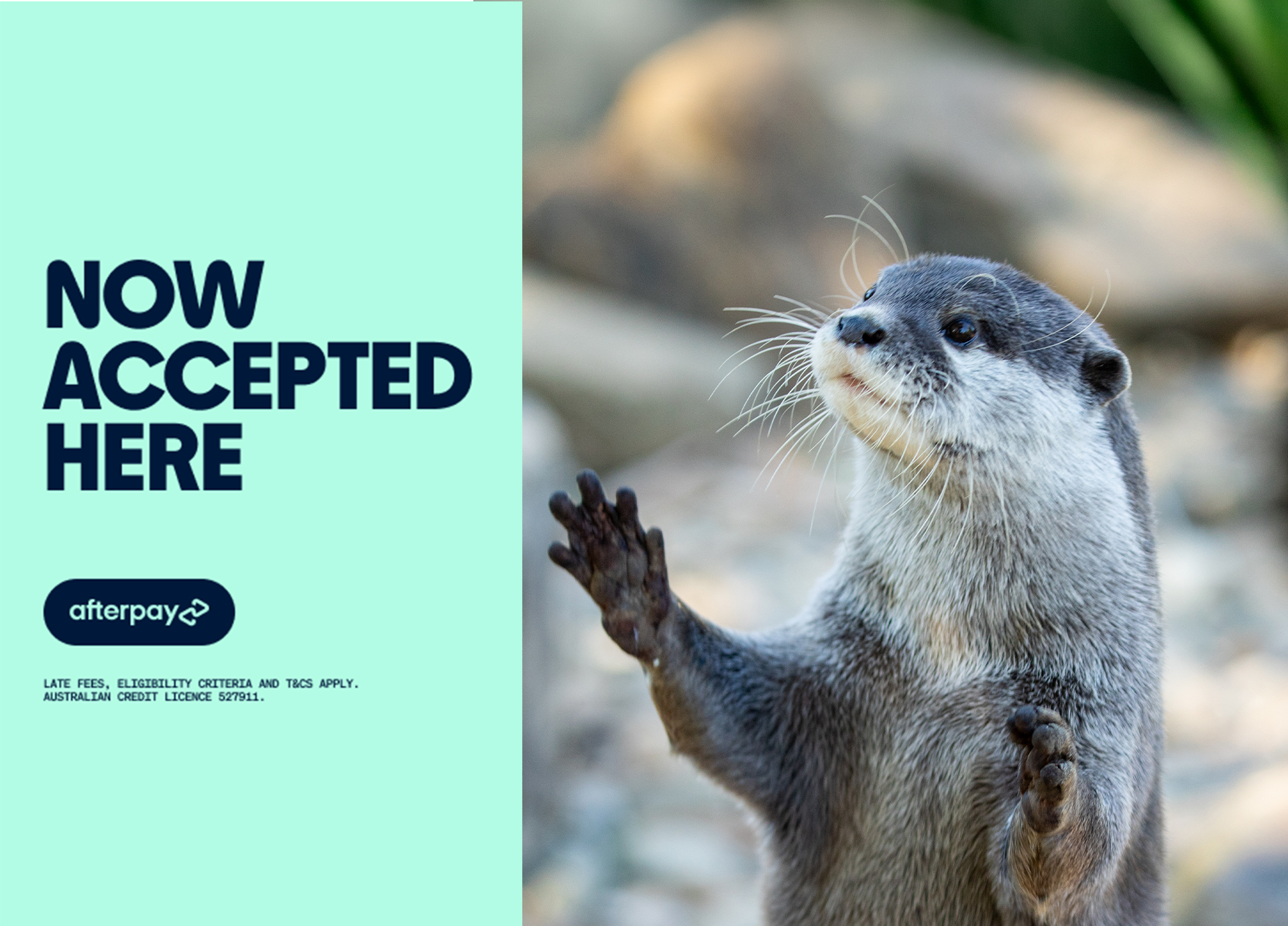 Blog-Afterpay-Header-Mobile2