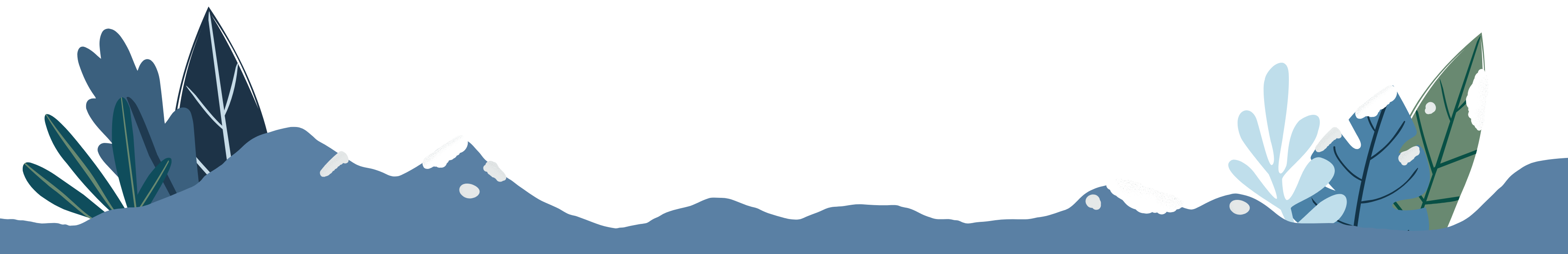 Bottom_Ice_Age_Divider