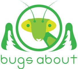 BugsAbout_logo-1