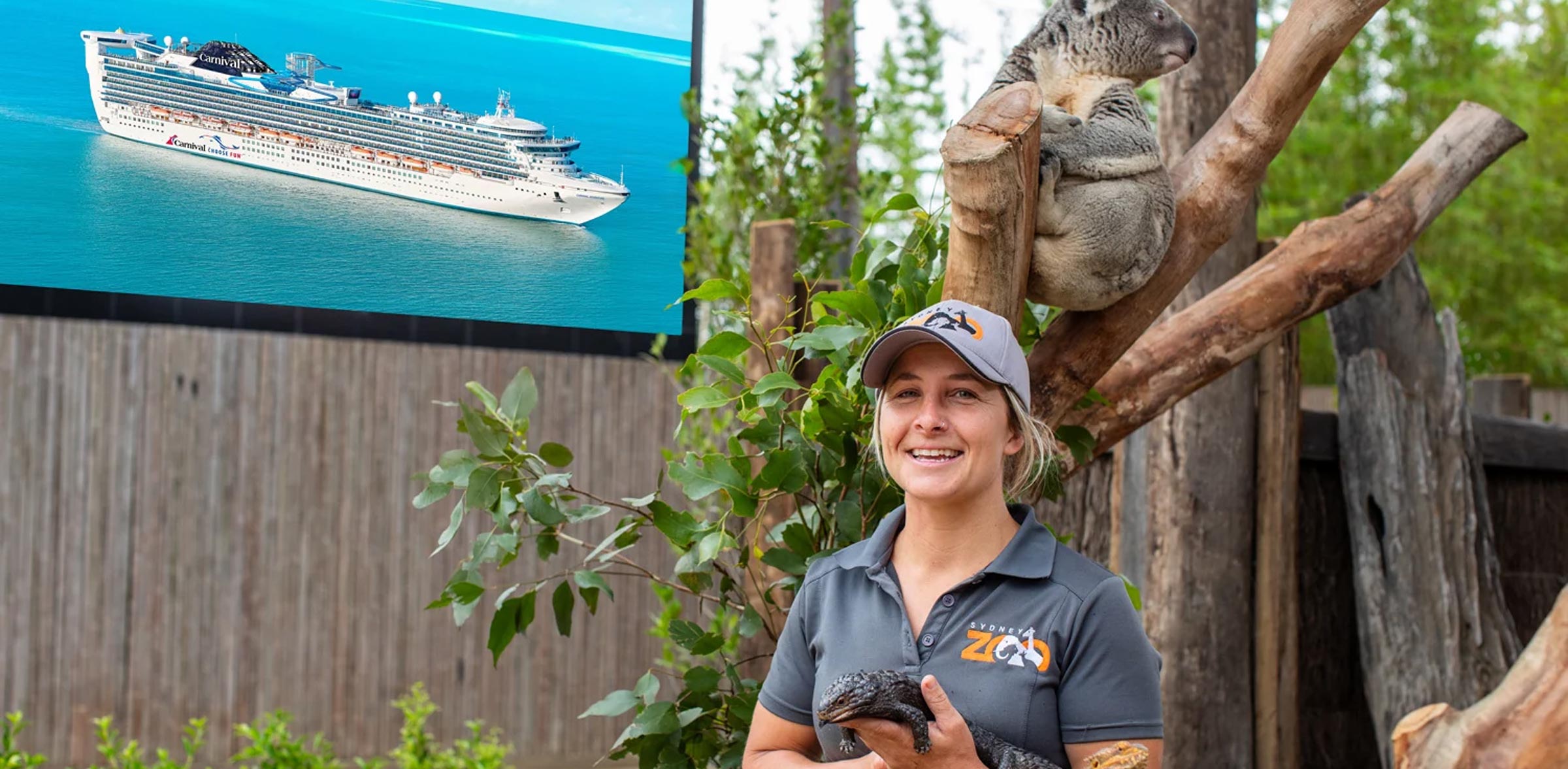 CCL-Comp-Header-Desktop