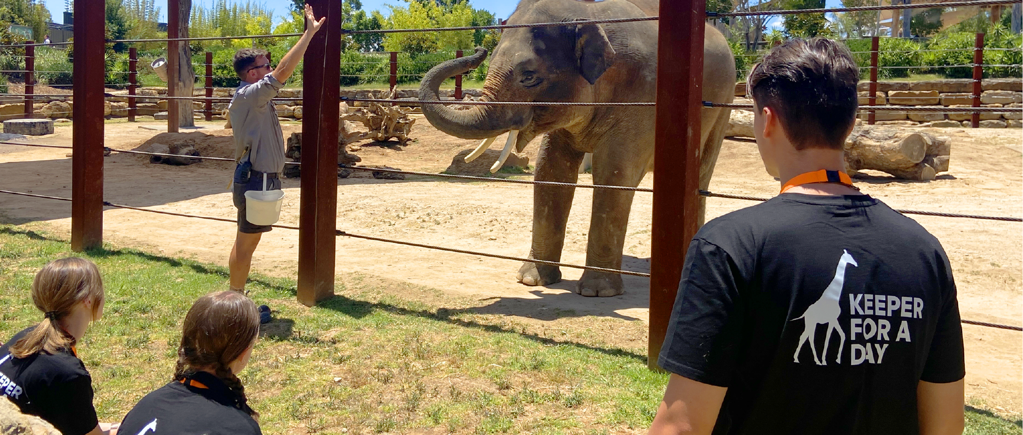 Mini Zookeeper for a Day