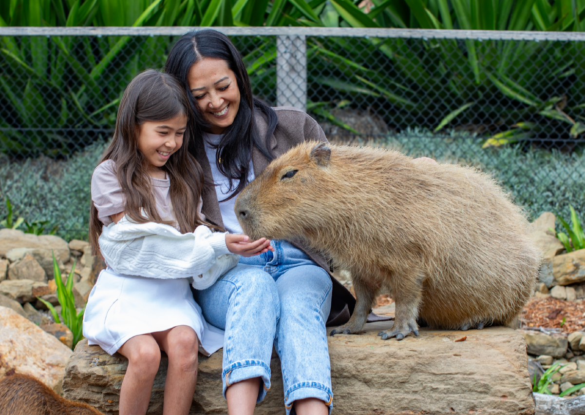 Capybara_Encounter_Image1