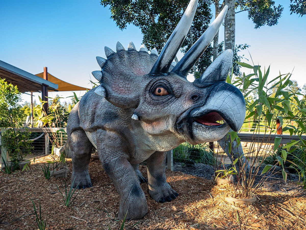 Triceratops