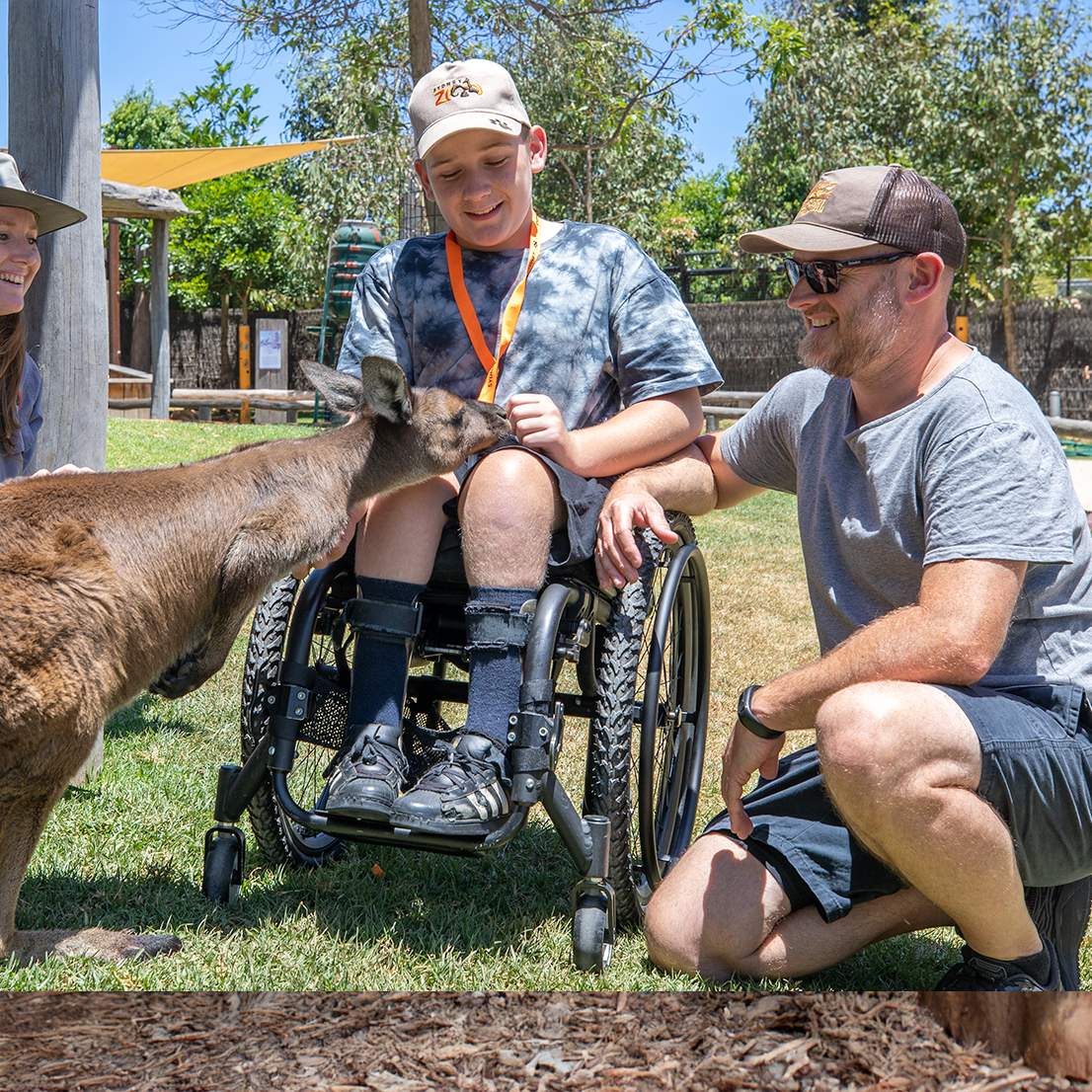Accessible Zookeeper For A Day