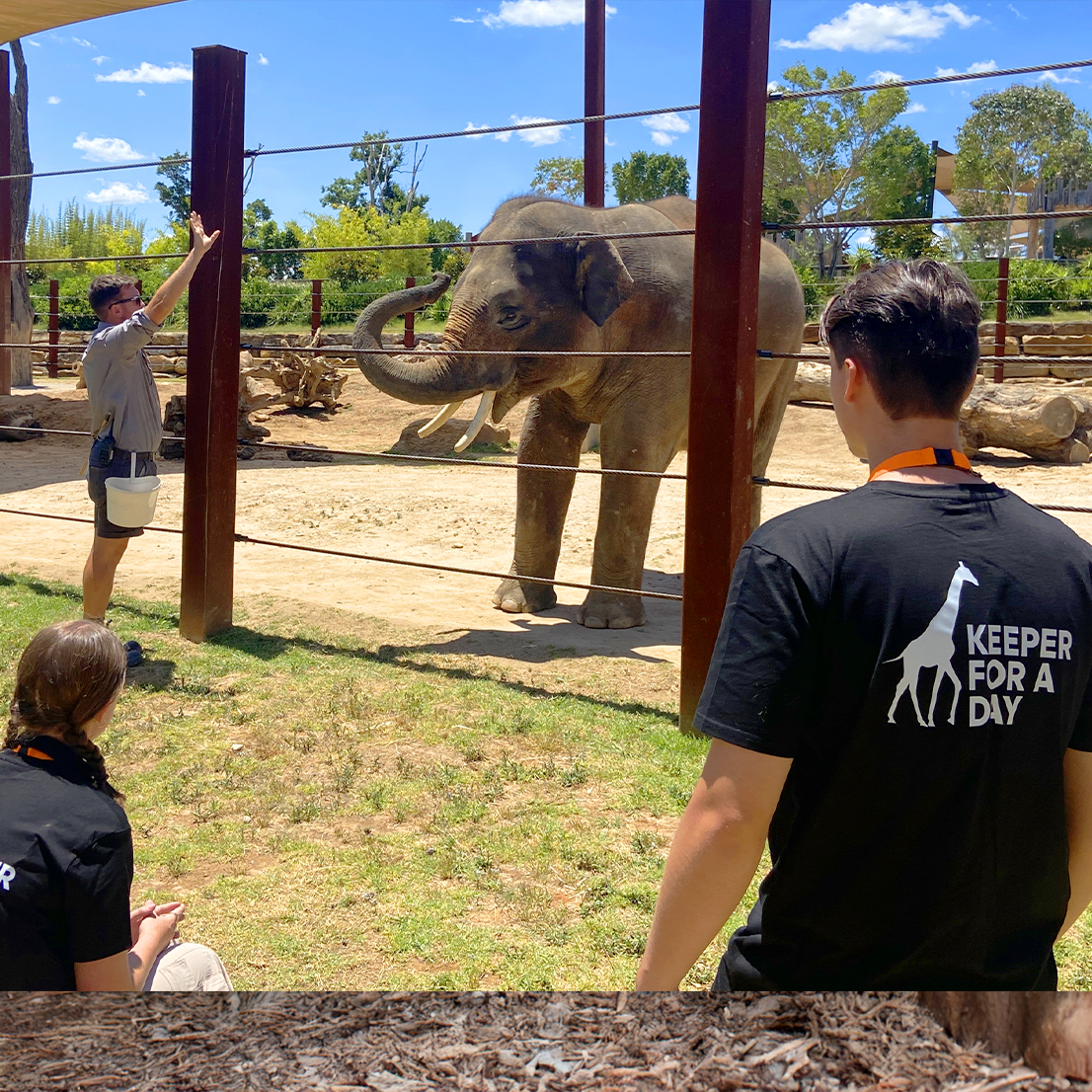 Cadet Zookeeper For A Day
