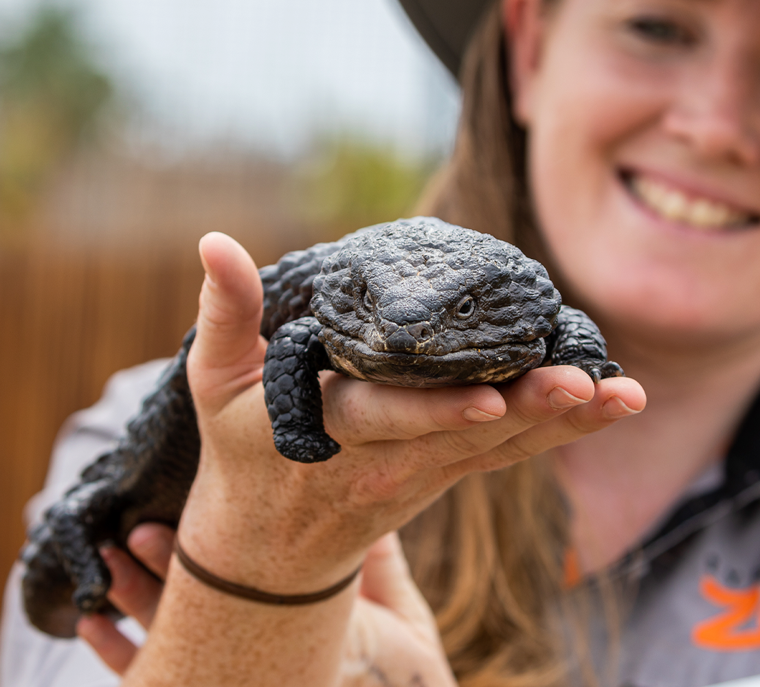 Mini Zookeeper For A Day
