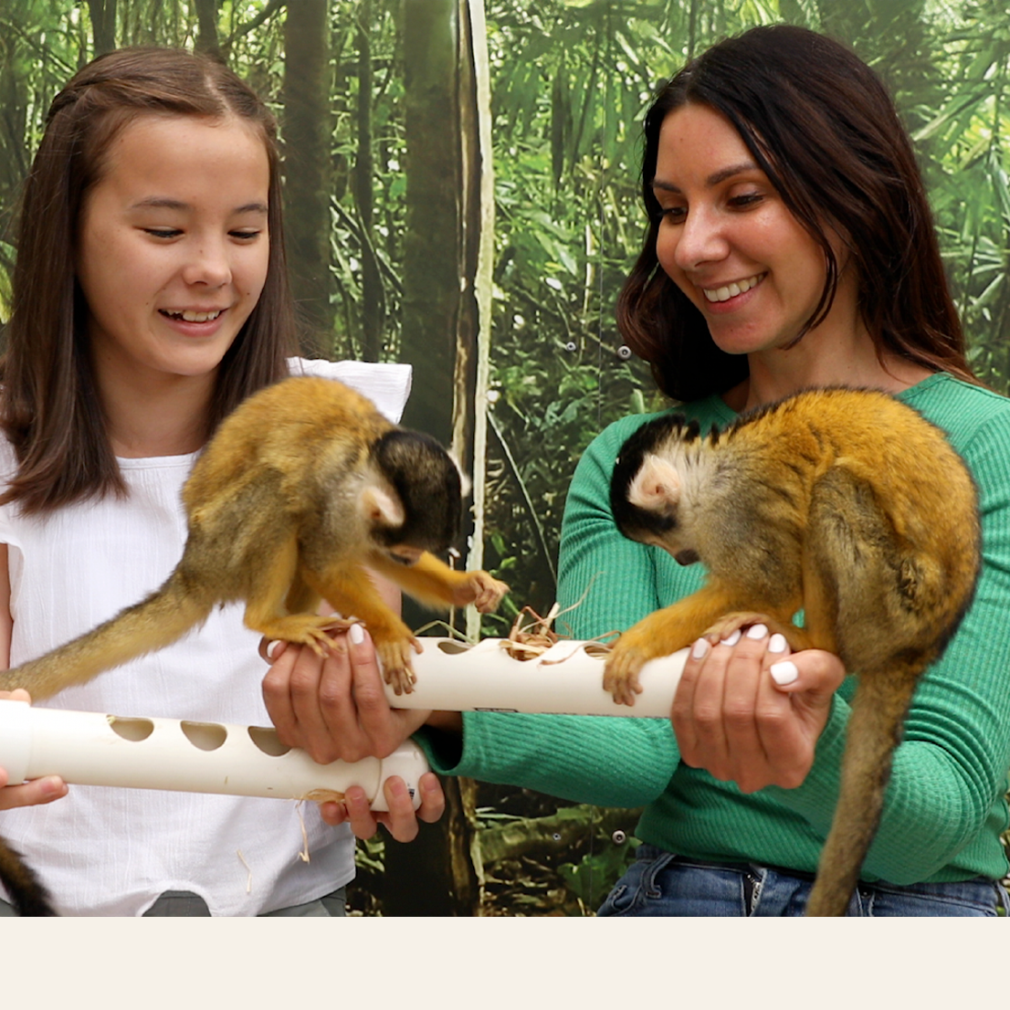 Squirrel Monkey Encounter