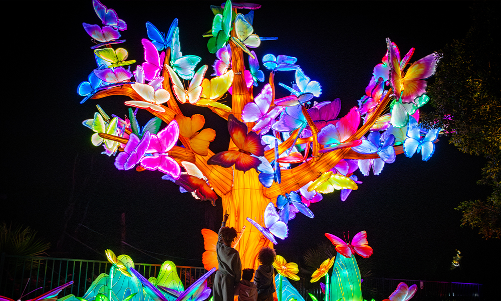 Butterfly Wonderland