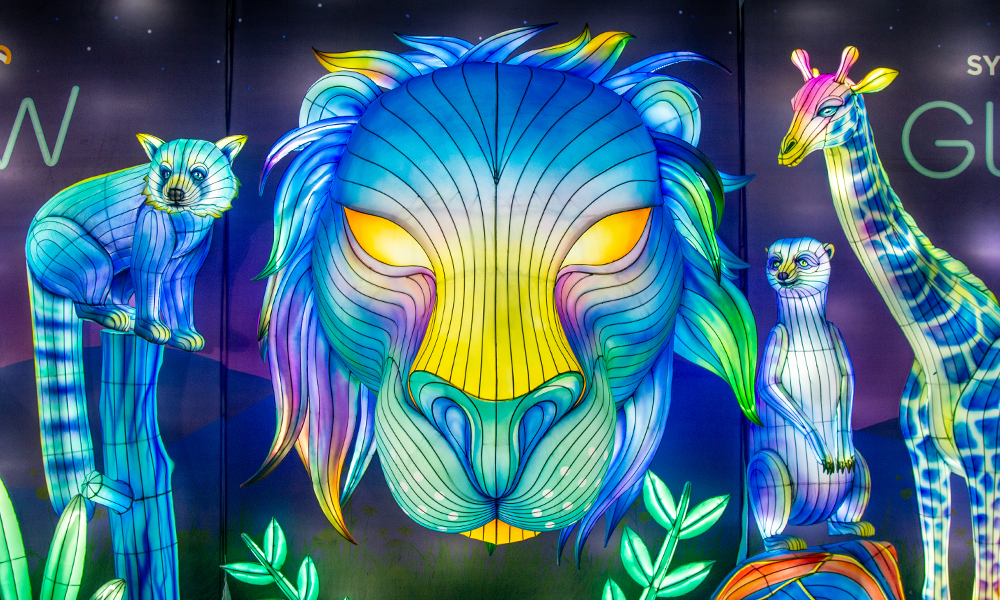 GLOW Lion