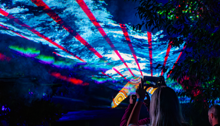 Laser Canopy