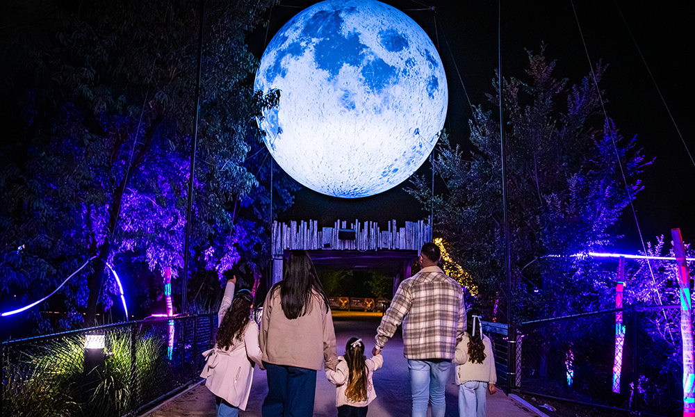 Moon Light Returns