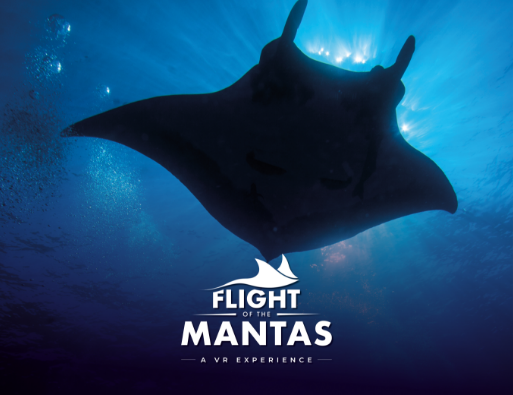 FLIGHT OF THE MANTAS - ENGLISH - EMAIL INSET IMAGE - 1300 x 1000 - GENERIC - 1