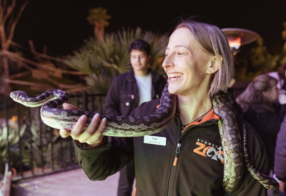 AnimalEncounters