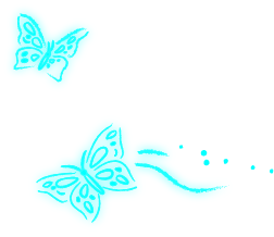 Butterfly Wonderland