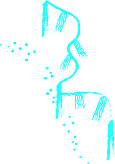 The Wild Celebration