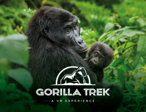 GORILLA TREK - ENGLISH - EMAIL INSET IMAGE - 1300 x 1000 - GENERIC - 1